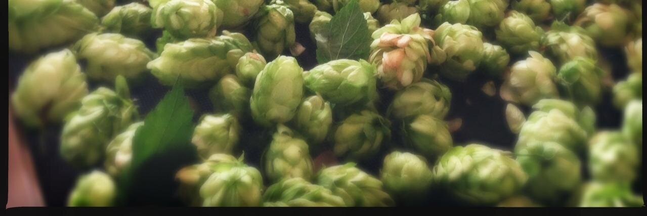 Broad Ripple Brewpub banner