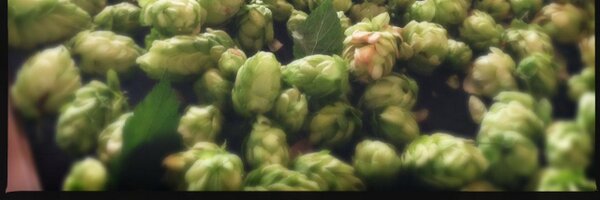 brbrewpub Profile Banner