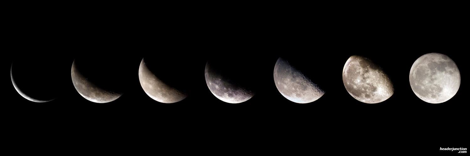 Emily Michelle Fata banner