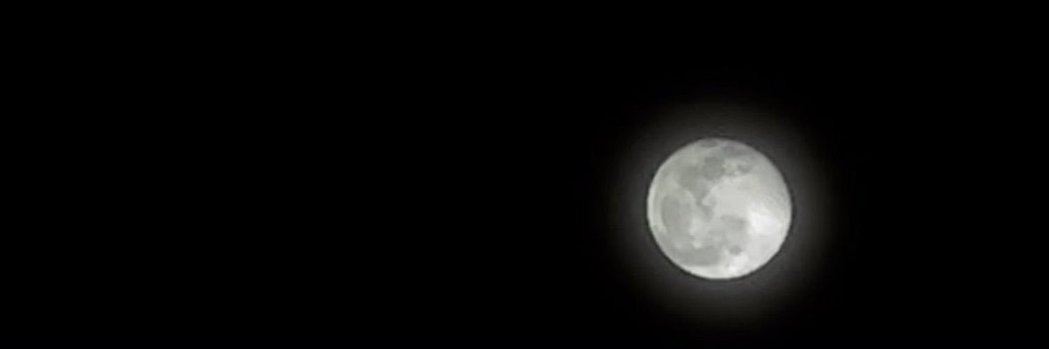 12fatma_'s profile banner image