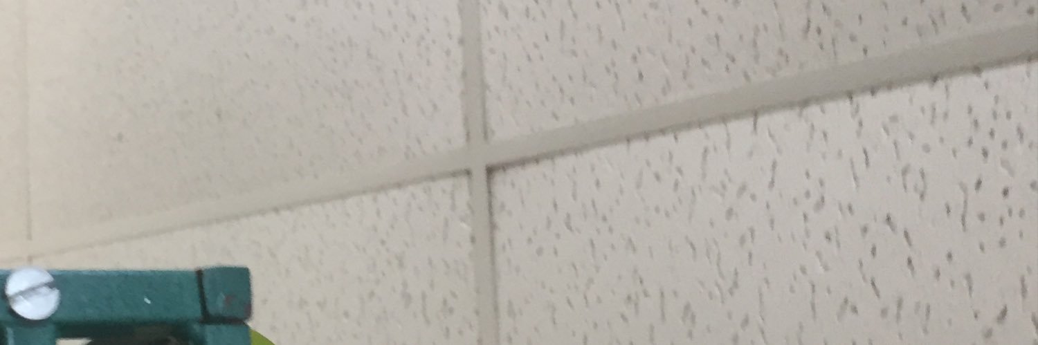 hempmaven's profile banner image