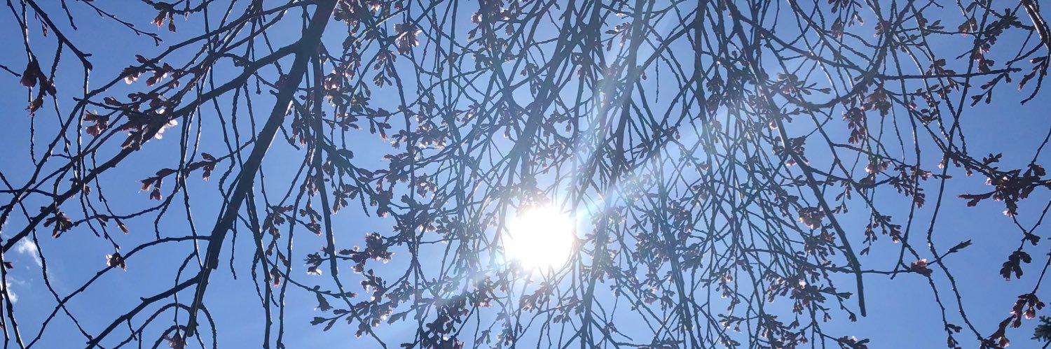 Reda El Chaar banner