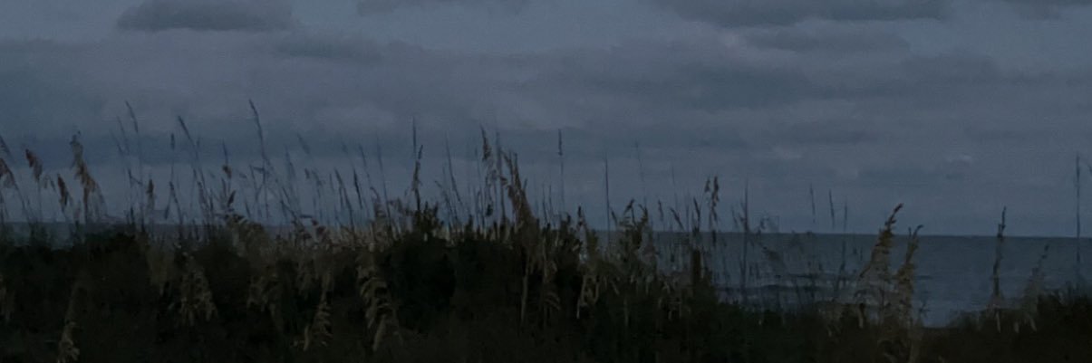 GraceKochon's profile banner image