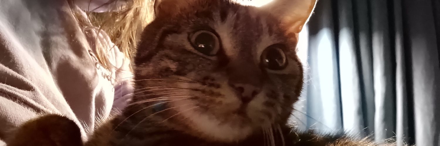cuteputer's profile banner image