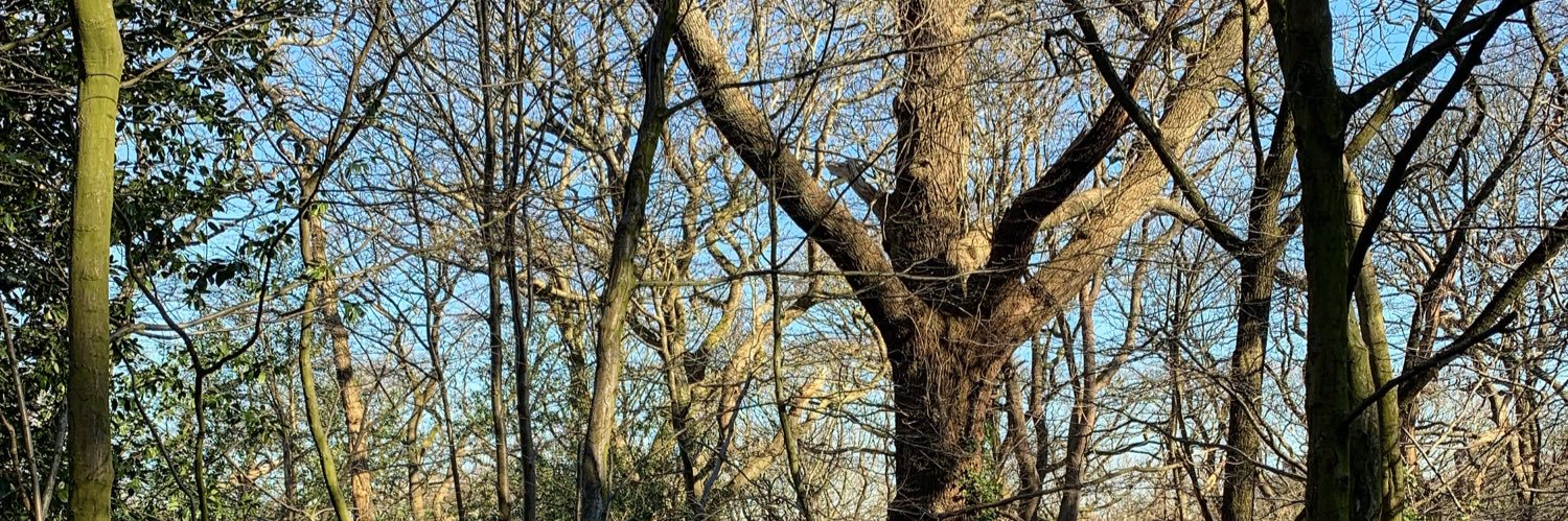 Mikael Thiery banner