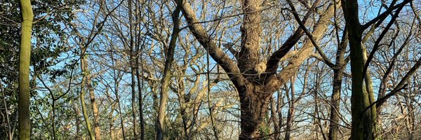 MikShouting Profile Banner