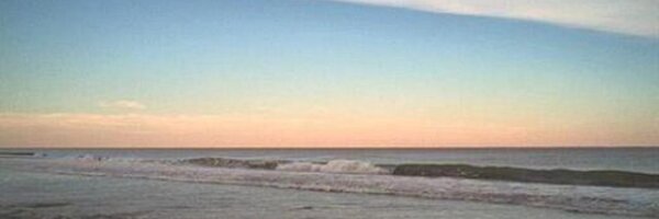 alanhenney Profile Banner