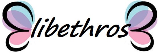 elibethrose's profile banner image