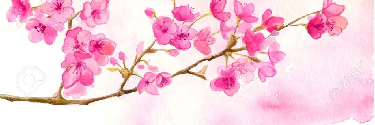 SebAttallah's profile banner image