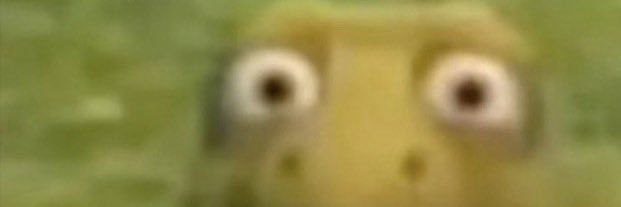 Skrrrt's profile banner image