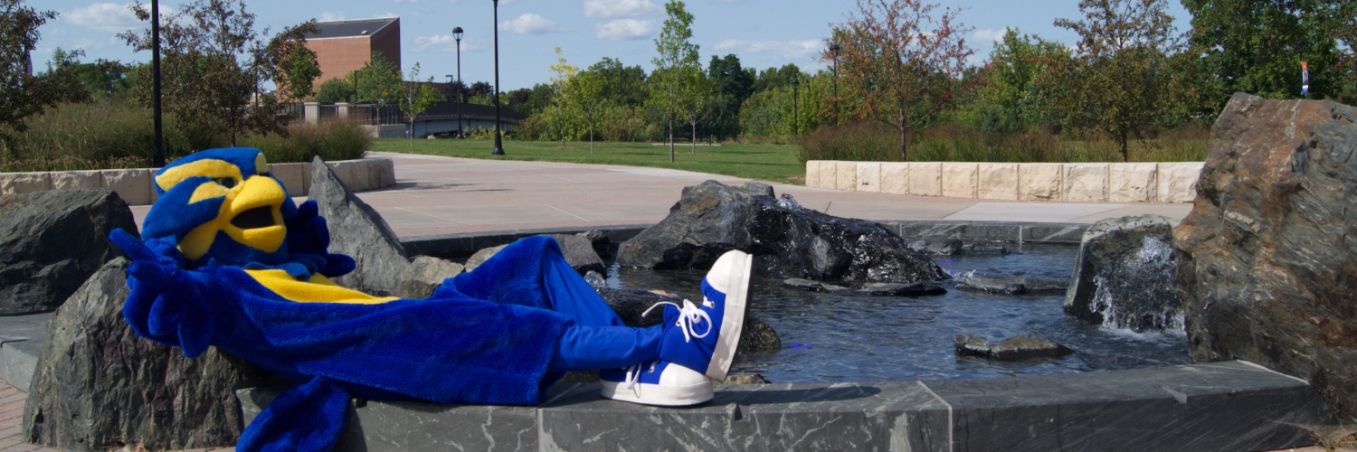 BluTheBlugold's profile banner image
