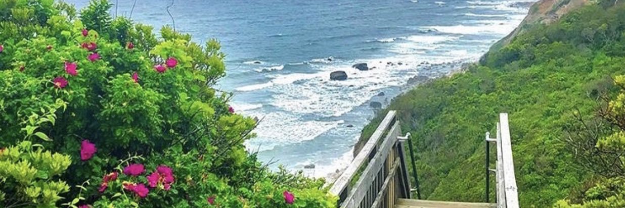 ✨WendyDarling✨ banner