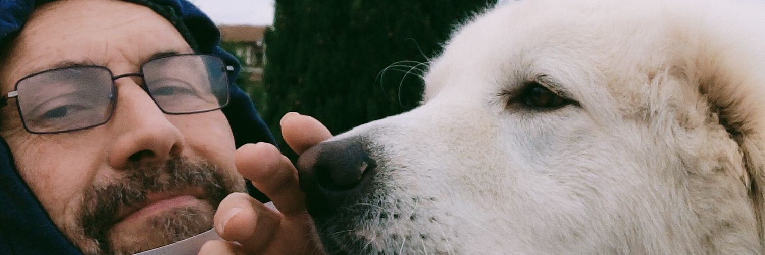 davidtinti's profile banner image
