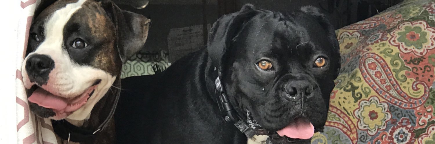 nikiboxer's profile banner image