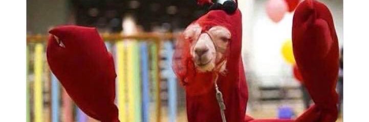 Karawatts24's profile banner image