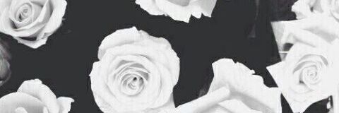 HeyAdrianaaa_'s profile banner image