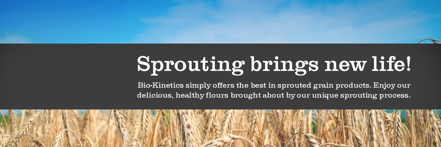Bio-Kinetics banner