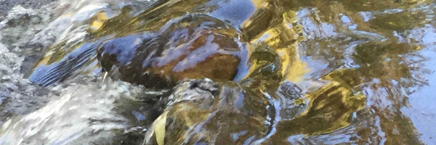 CleveHorrocks's profile banner image