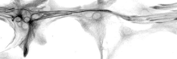 GTsueng Profile Banner