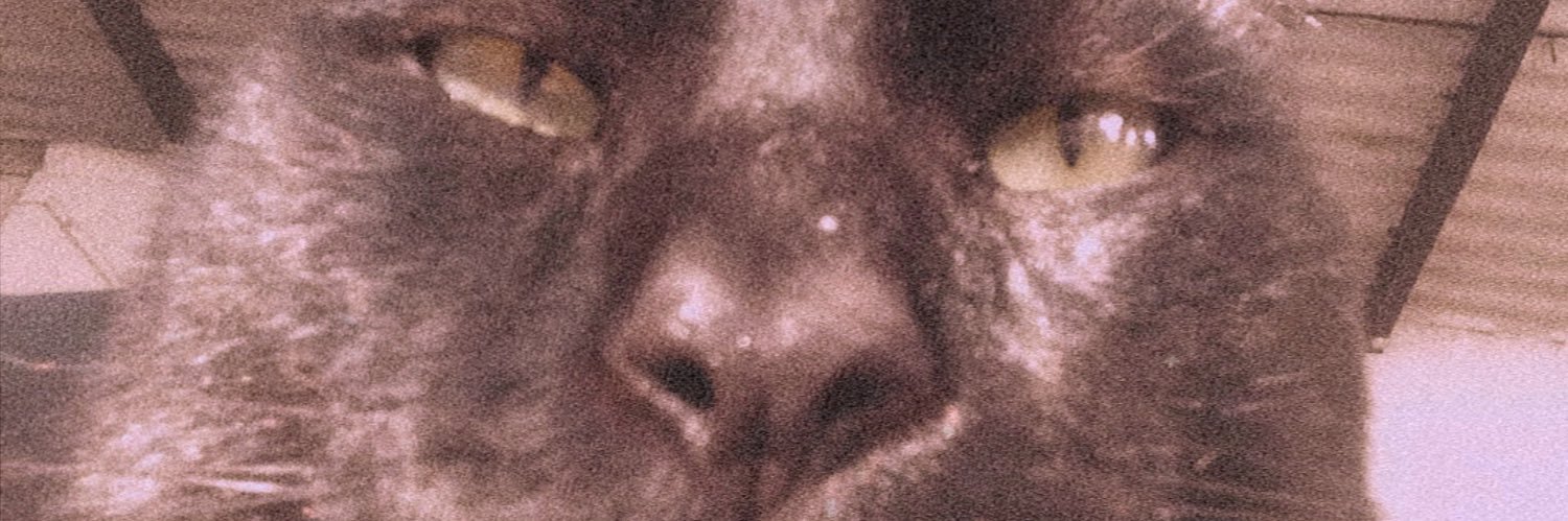 gastirugg's profile banner image