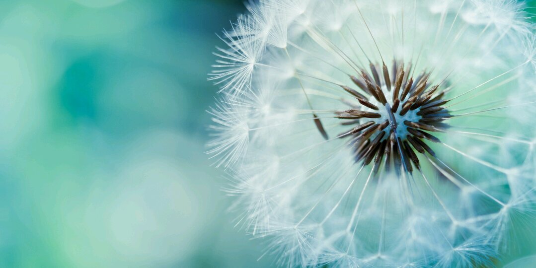 taylinkenzy's profile banner image