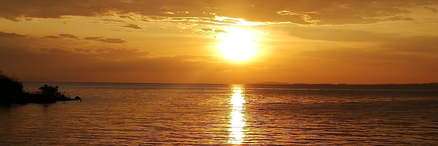 evkinoti's profile banner image