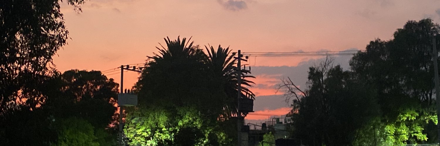fernandocbqd's profile banner image
