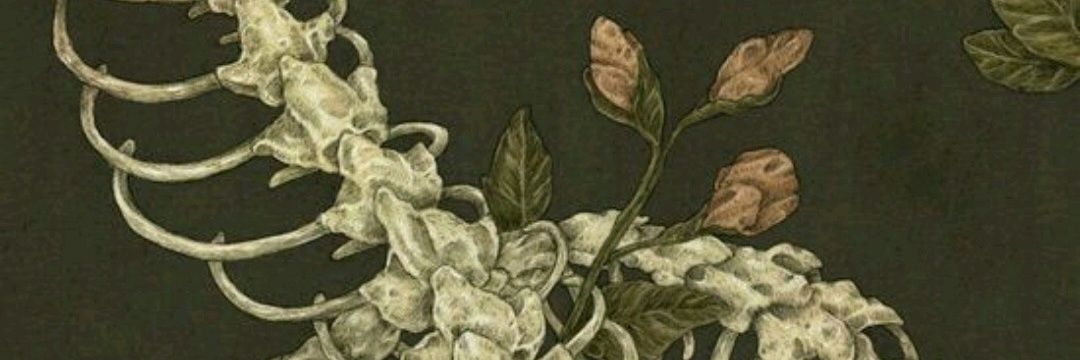 tamara_chh's profile banner image