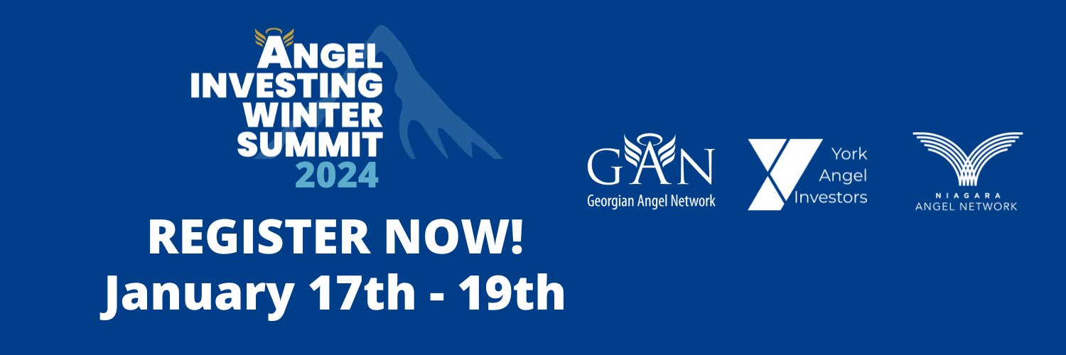 Georgian Angel Net banner