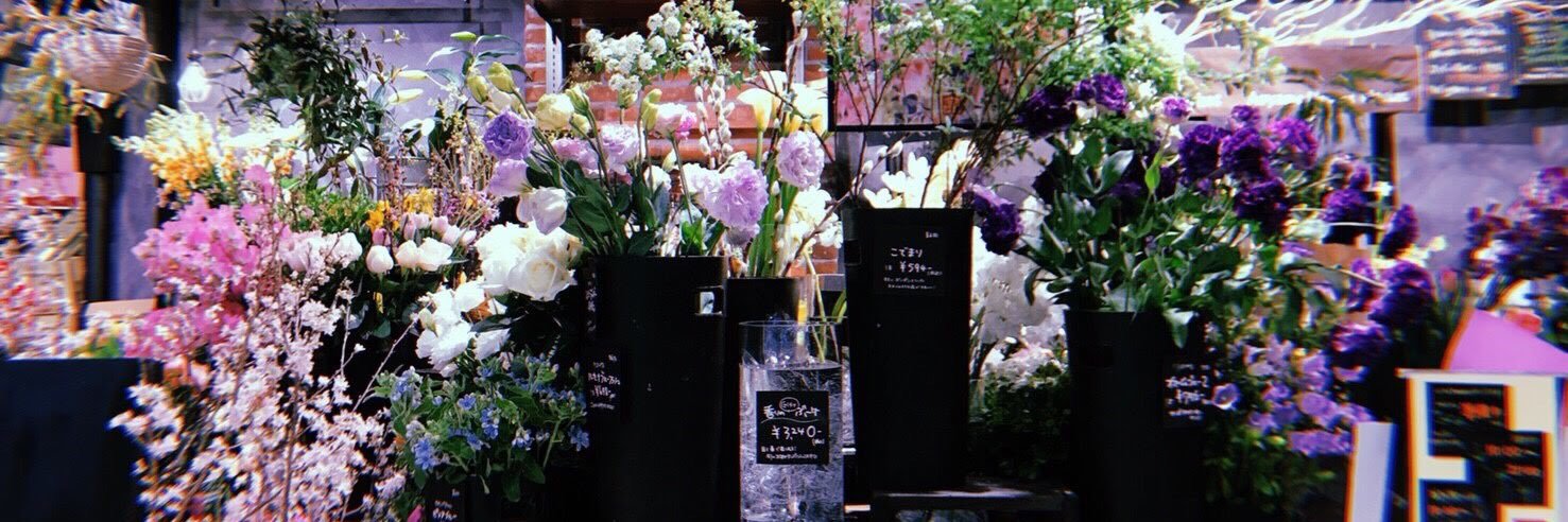 ___hnyk's profile banner image