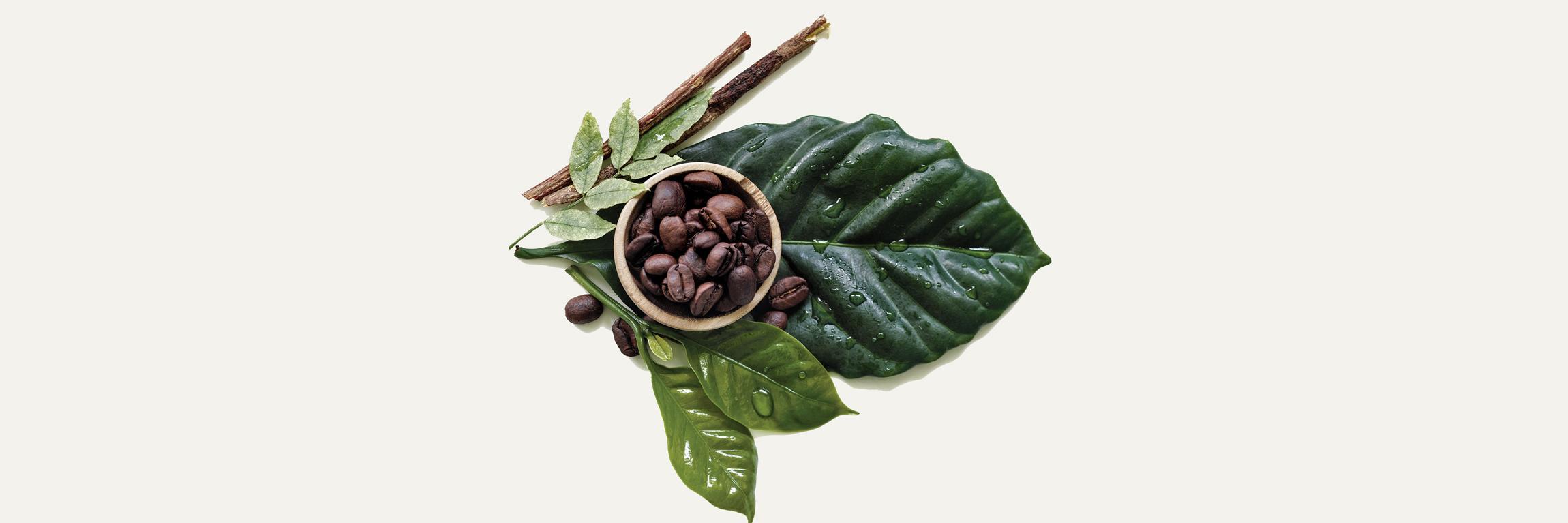 JuutSalonspa's profile banner image
