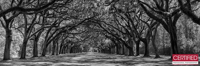 WALLPhotoGrafx's profile banner image