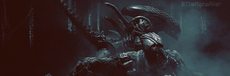 TheAlphaAlien's profile banner image