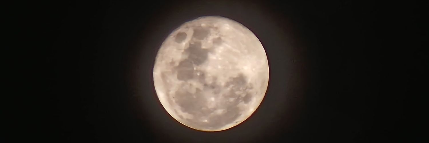 the_nesar's profile banner image