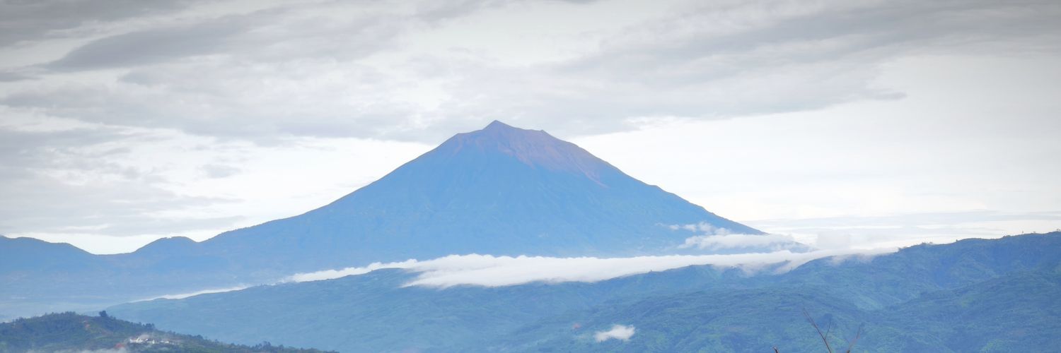 Hedy_Peace's profile banner image