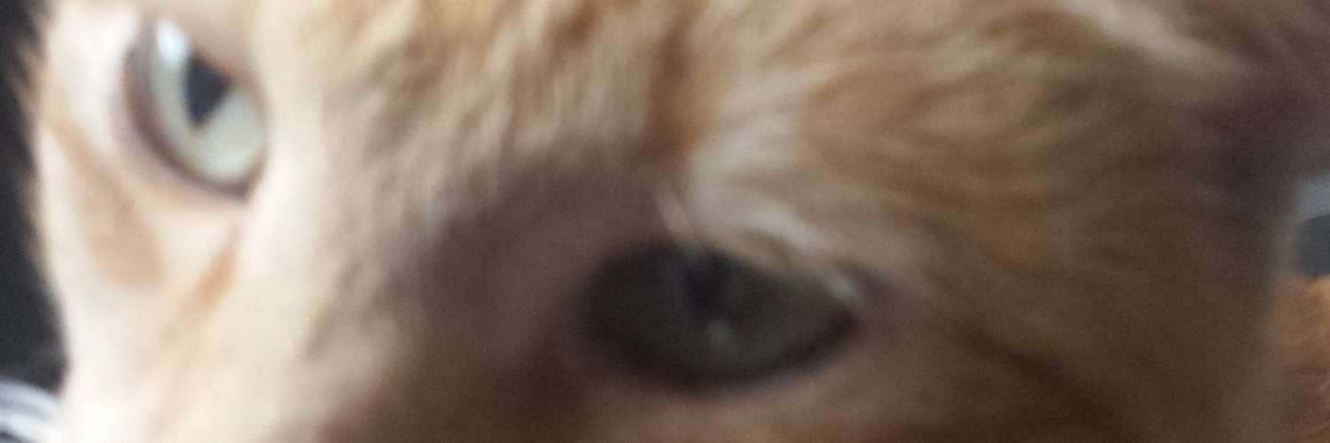 RobinTess's profile banner image