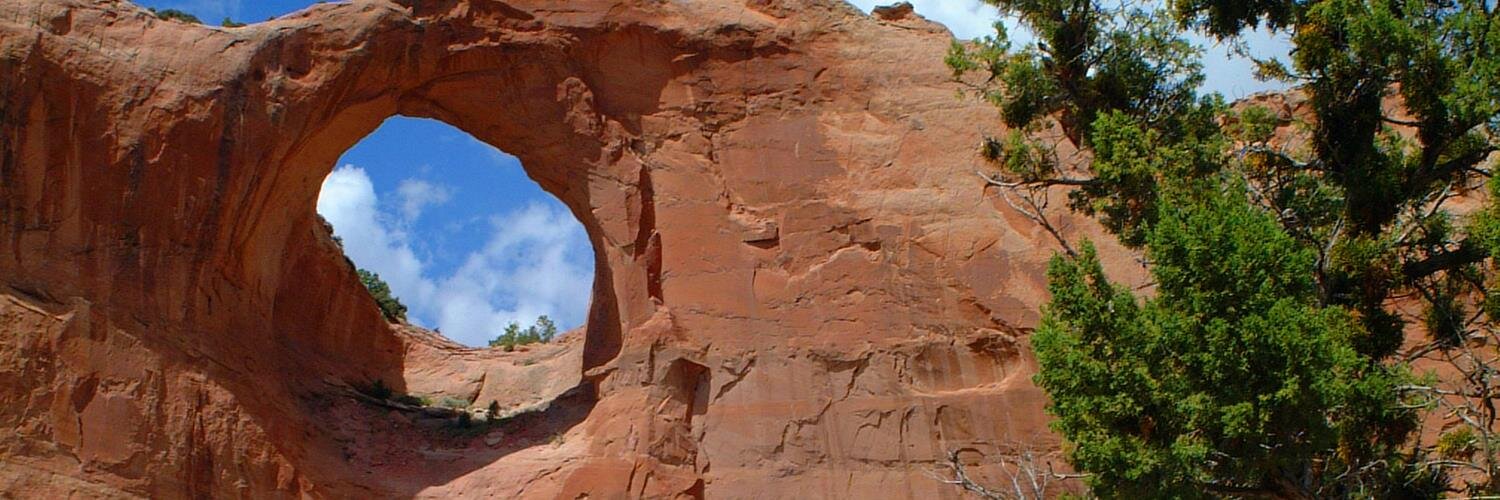 RussellBegaye's profile banner image