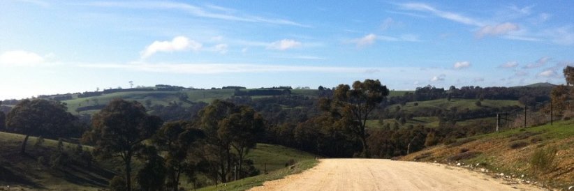 Simone stella banner