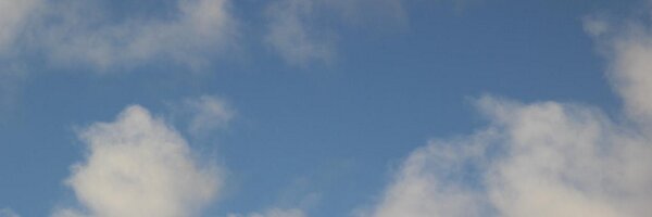 sunnyholt Profile Banner