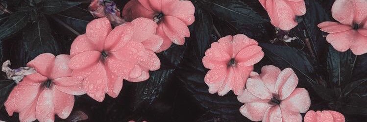 byMiri_'s profile banner image