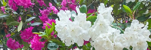 aqualady21 Profile Banner