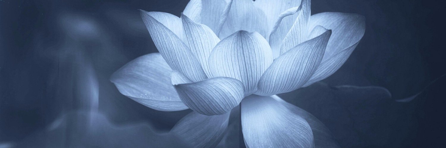 MiaBloom353's profile banner image