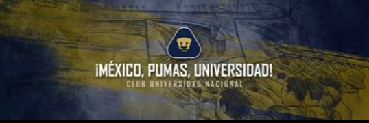 MTRO. PUMA MOLINA banner