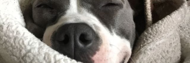 Bryan_Long09's profile banner image