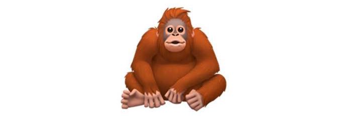 csoumya93's profile banner image