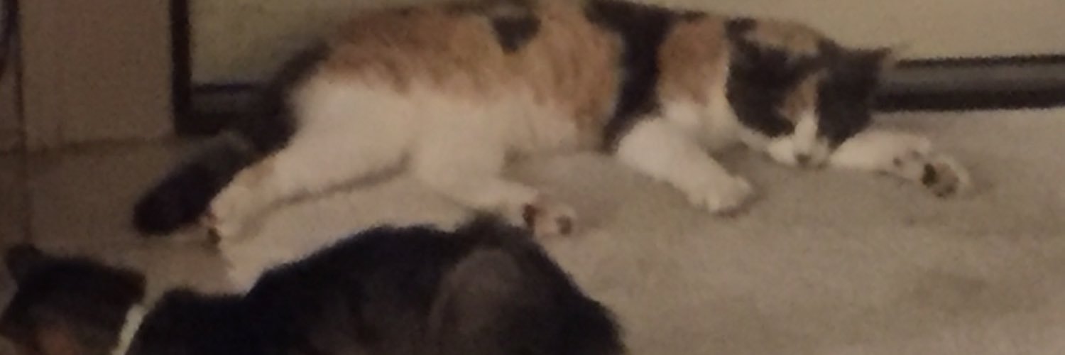 llcooljames748's profile banner image