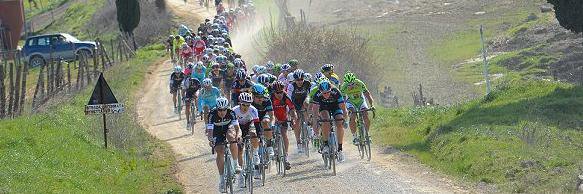 Frans van Santen banner