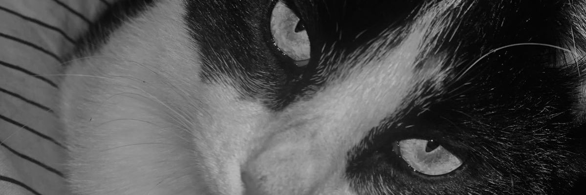 JuanyArayaa's profile banner image