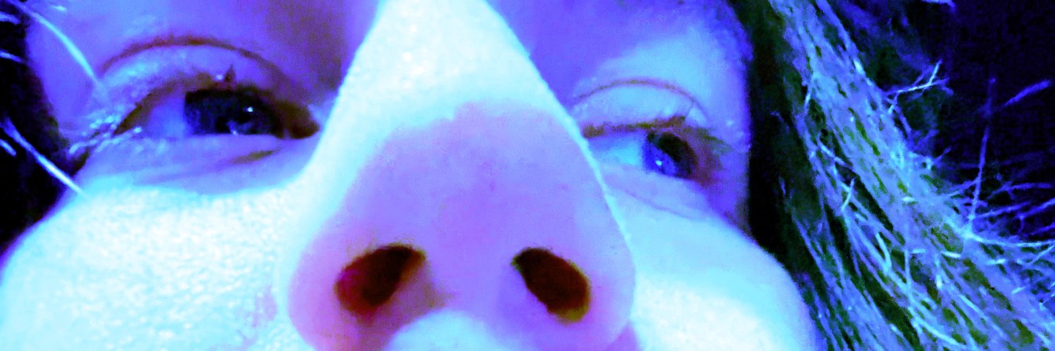 ChicagoMoon_'s profile banner image