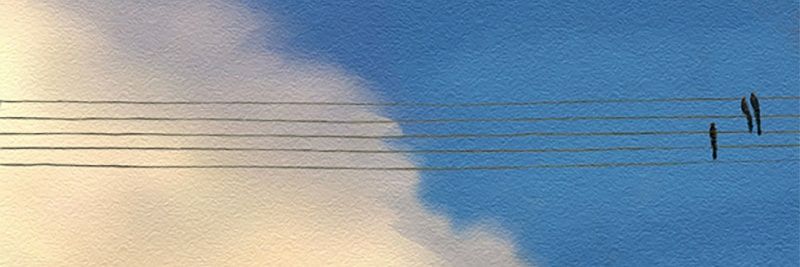 nefisecigdem's profile banner image